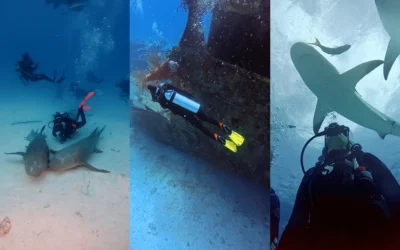 El buceo, un deporte completo